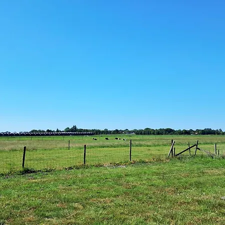 Glamping Tent Met Prive Sanitair