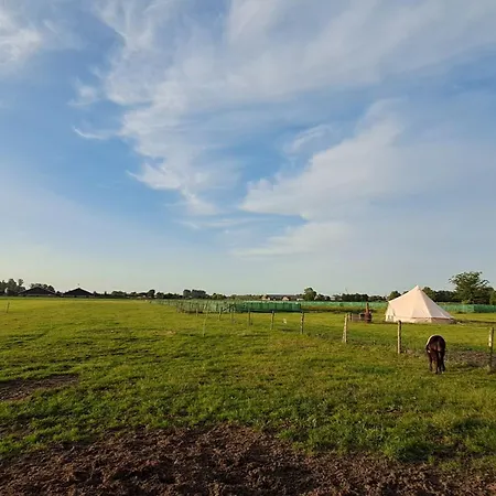 Glamping Tent Met Prive Sanitair * Hensbroek