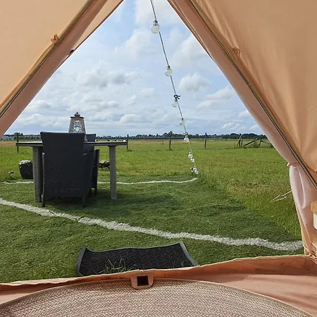 Glamping Tent Met Prive Sanitair 럭셔리텐트