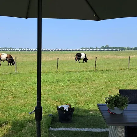 Campismo de Luxo Glamping Tent Met Prive Sanitair Hensbroek