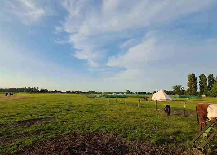 Bell-tent Luna * Hensbroek