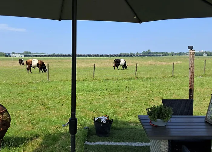 Lyxtält Bell-tent Luna Hensbroek